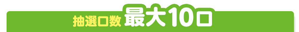 抽選口数最大10口