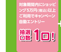 対象期間内にショッピング5万円（税込）以上ご利用でキャンペーン自動エントリー 抽選口数1口！