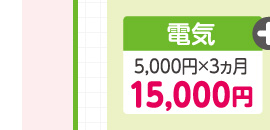 電気 5,000円×3ヵ月 15,000円